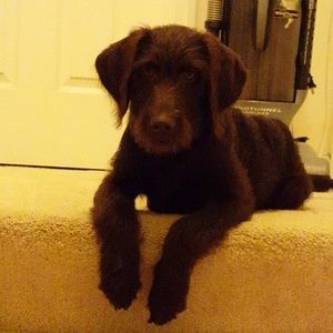 Meet your Posher, Jon